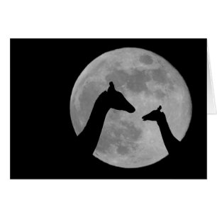 Giraffen in Fullmoon-Nacht