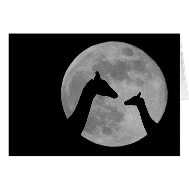 Giraffen in Fullmoon-Nacht (Vorderseite (Horizontal))