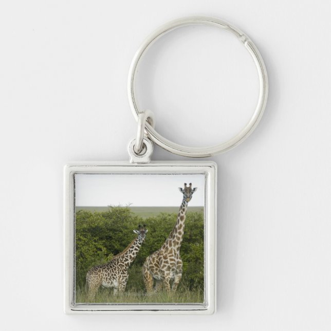Giraffen in Kenia, Afrika 2 Schlüsselanhänger (Vorne)