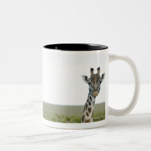 Giraffen in Kenia, Afrika 2 Zweifarbige Tasse