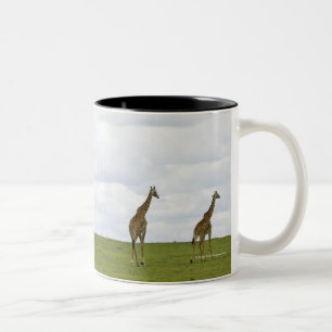 Giraffen in Kenia, Afrika Zweifarbige Tasse