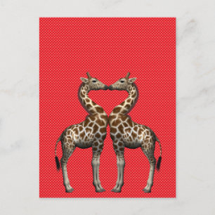 Giraffen in Liebe Postkarte