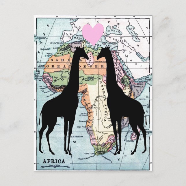 Giraffen in Liebe Postkarte (Vorderseite)