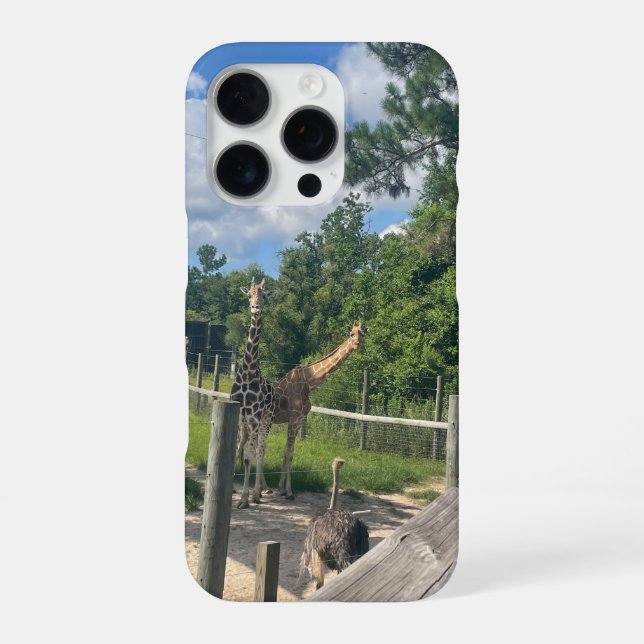 Giraffen  iPhone hülle (Rückseite)