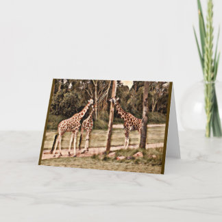 Giraffen Karte