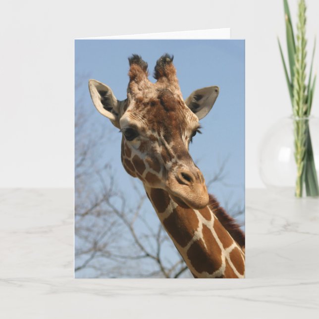 Giraffen-Karte Karte (Vorderseite)