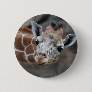 Giraffen-Knopf Button