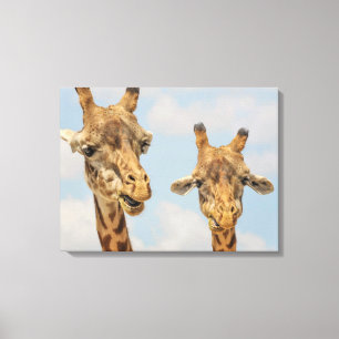 Giraffen Leinwanddruck