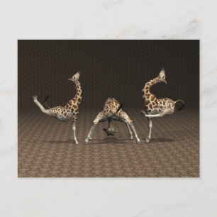 Giraffen Liebe Ballet Feiertagspostkarte