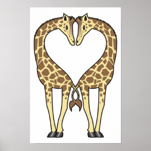Giraffen-Liebe Poster