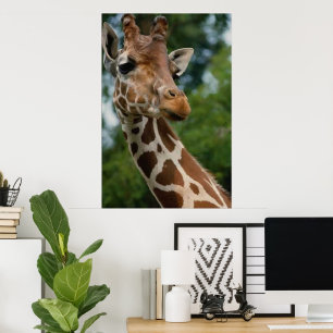 Giraffen-Liebhaber-Kunst-Druck-Geschenke Poster