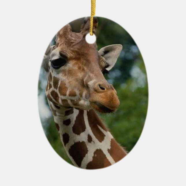 Giraffen-Liebhaber-Weihnachtsverzierung Keramikornament (Vorne)