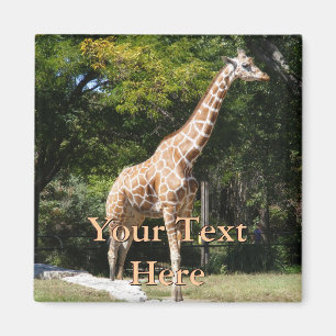 Giraffen-Magnet Magnet