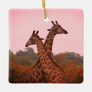 Giraffen mit rosa Himmel Keramikornament