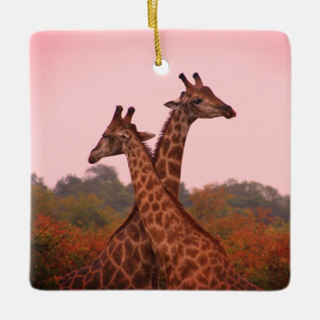 Giraffen mit rosa Himmel Keramikornament (Vorderseite)