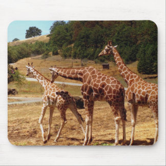 Giraffen Mousepad
