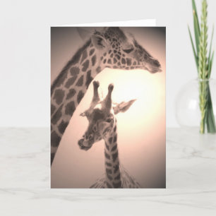 Giraffen, Mutter und Kind Karte