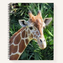 Giraffen-Notebook - 8.5 x 11, 8.5 x 8.5, oder Herz Notizbuch