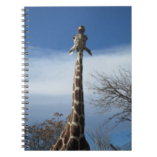 Giraffen-Notizbuch Notizblock