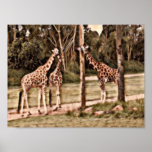 Giraffen Poster (Vorne)