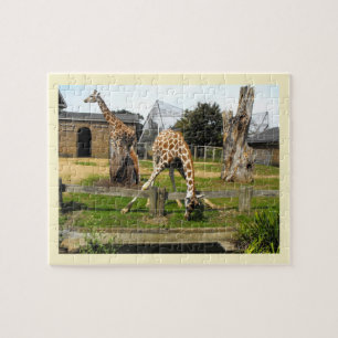 Giraffen Puzzle