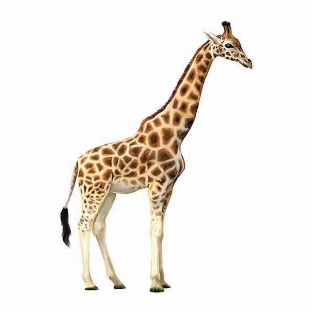 Giraffen-Skulptur Freistehende Fotoskulptur (Vorne)