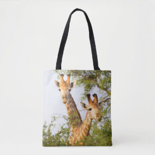Giraffen spähen über die Vegetation