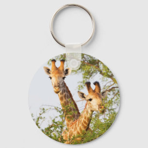 Giraffen spähen über die Vegetation Schlüsselanhänger