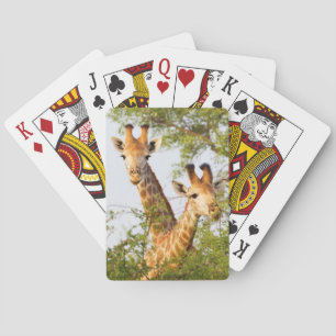 Giraffen spähen über die Vegetation Spielkarten