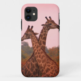 Giraffen, stehend in Mopanobäumen mit rosa Himmel Case-Mate iPhone Hülle