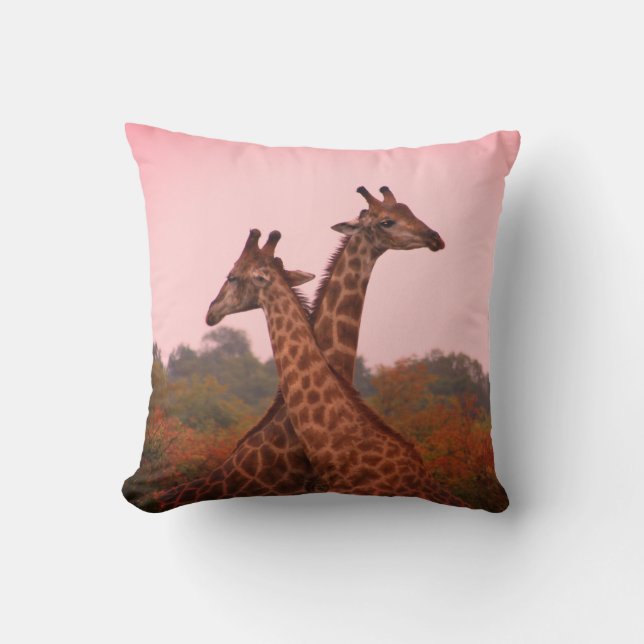Giraffen, stehend in Mopanobäumen mit rosa Himmel Kissen (Vorderseite)
