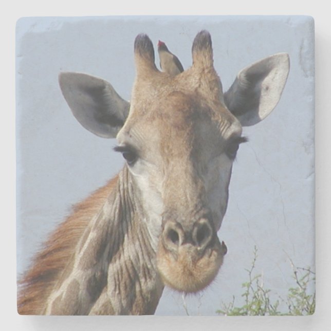 Giraffen-SteinUntersetzer Steinuntersetzer (Vorderseite)