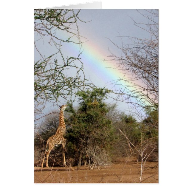 Giraffen-u. Regenbogen-Karte (Vorne)