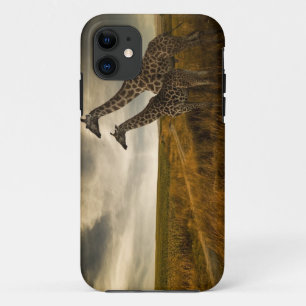 Giraffen und die Landschaft iPhone 11 Hülle