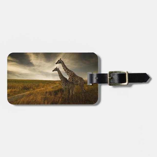 Giraffen und die Landschaft Gepäckanhänger (Vorderseite horizontal)