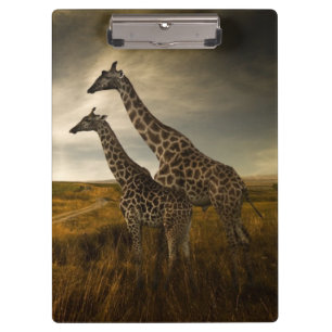 Giraffen und die Landschaft Klemmbrett