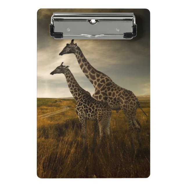 Giraffen und die Landschaft Mini Klemmbrett (Vorderseite)
