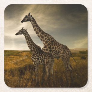 Giraffen und die Landschaft Rechteckiger Pappuntersetzer