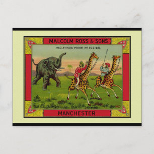 Giraffen und Elefant Postkarte