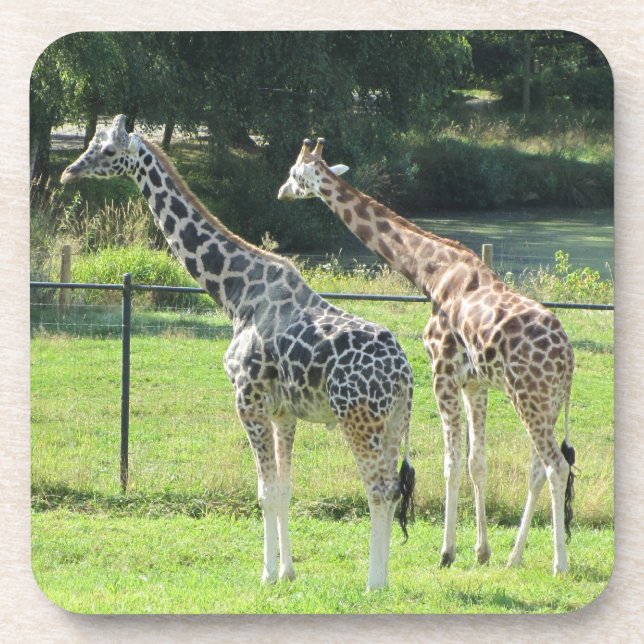 Giraffen Untersetzer (Vorderseite)