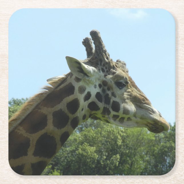 Giraffen-Untersetzer-Set Rechteckiger Pappuntersetzer (Vorderseite)