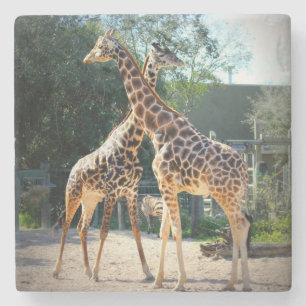 Giraffen-Untersetzer Steinuntersetzer