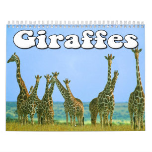 Giraffen-Wandkalender Kalender