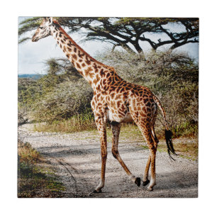 Giraffen-wildes Tier-Afrika-Musterdruck Fliese