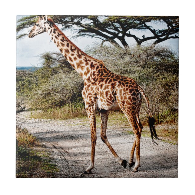 Giraffen-wildes Tier-Afrika-Musterdruck Fliese (Vorderseite)