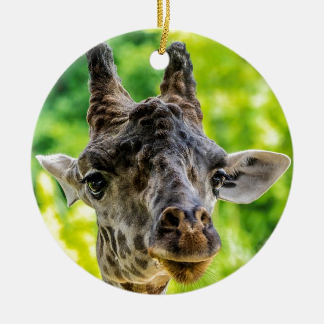 Giraffen-Wimpern Keramikornament (Vorne)