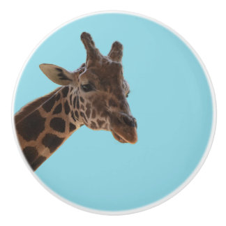 Giraffen-Zugknopf Keramikknauf