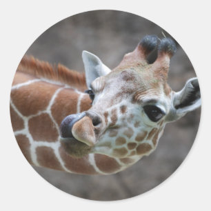 Giraffen-Zunge-Aufkleber Runder Aufkleber