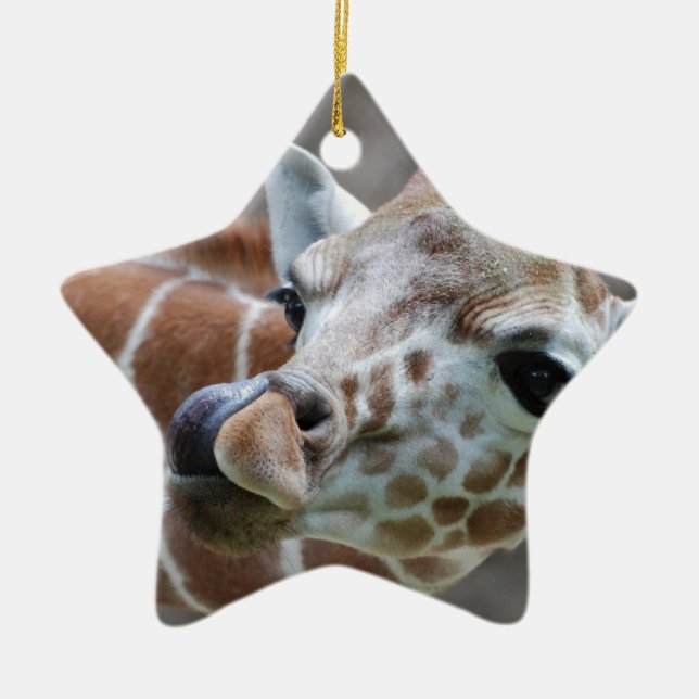Giraffen-Zunge-Verzierung Keramik Ornament (Vorne)