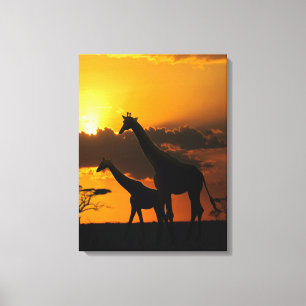 Giraffenfamilie 2 leinwanddruck